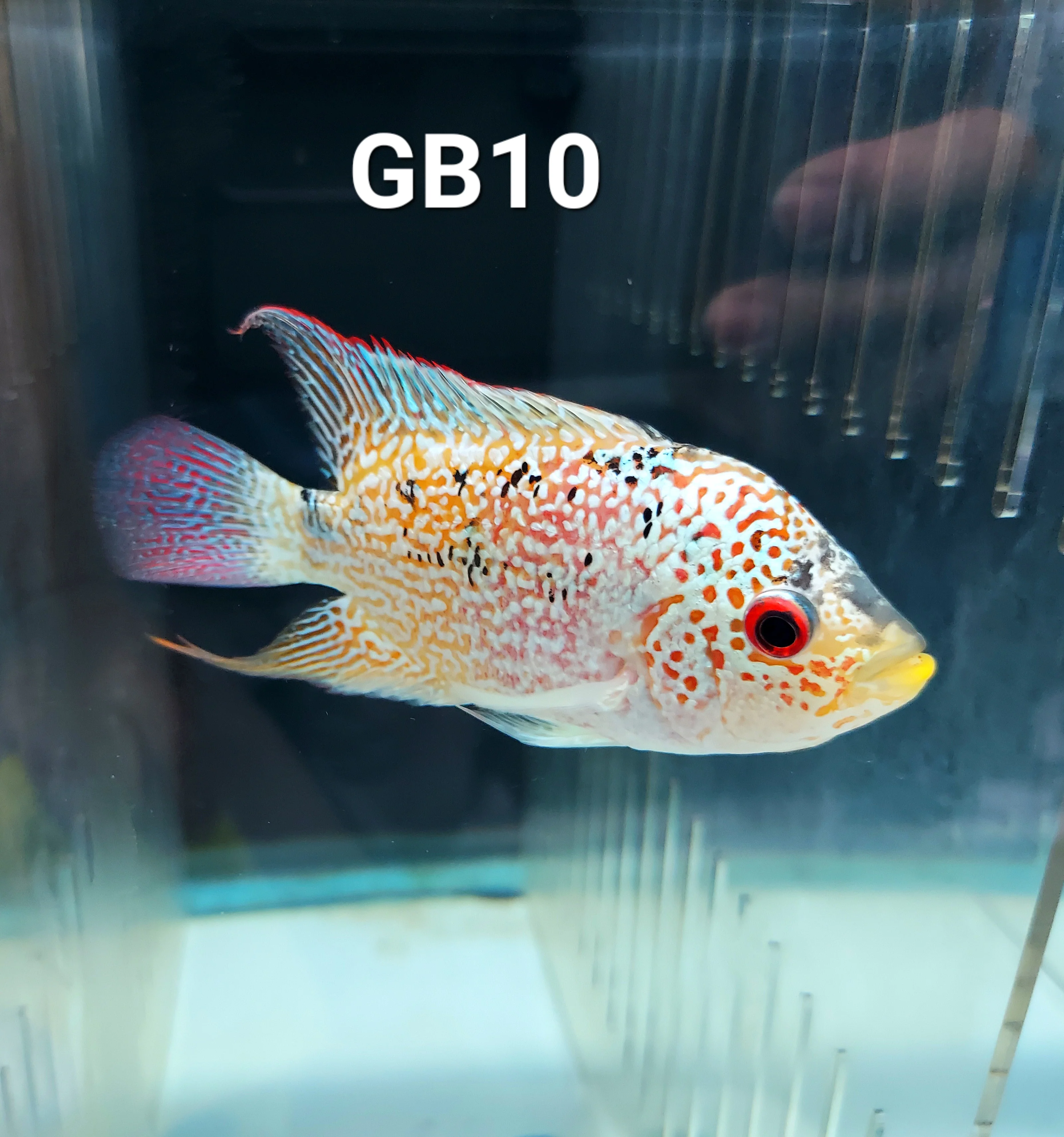 Product image 10